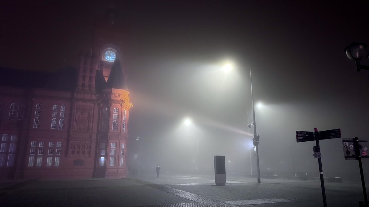 Shane White Photography tweet media