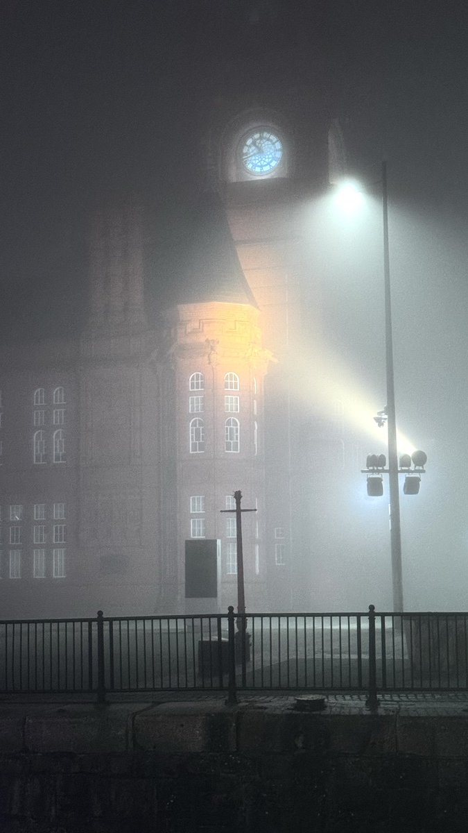 Shane White Photography tweet media