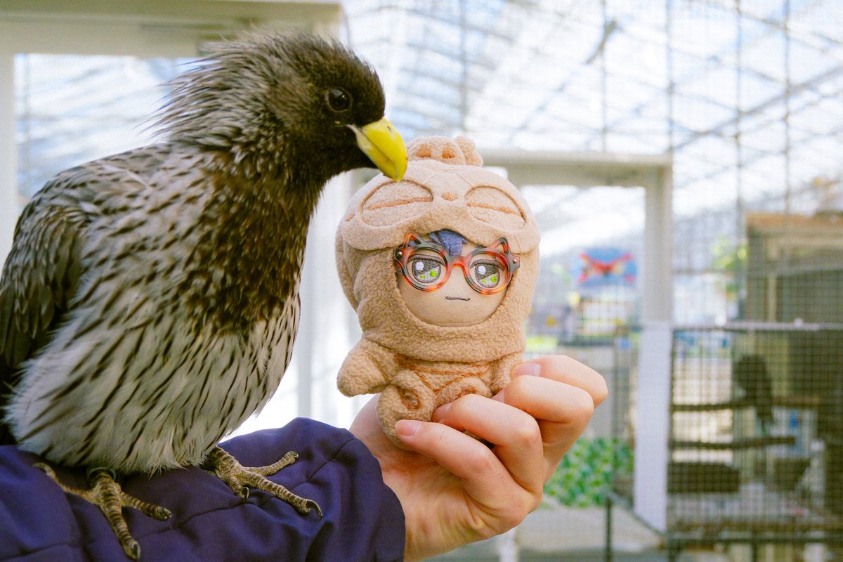 ただの綿だよ…美味しくないよ…