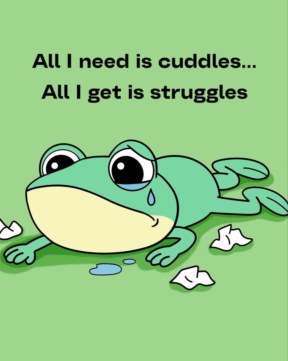 Tallys 🐸 tweet media