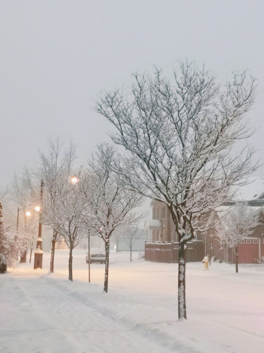 ponloeur678's tweet photo. It was snowing again today and despite the cold, the weather was beautiful ❄️☁️ https://t.co/rOjAdNmvEY
