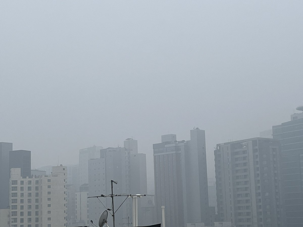 미세먼지 미쳤다 영재야 마스크 잘 쓰고 다녀라