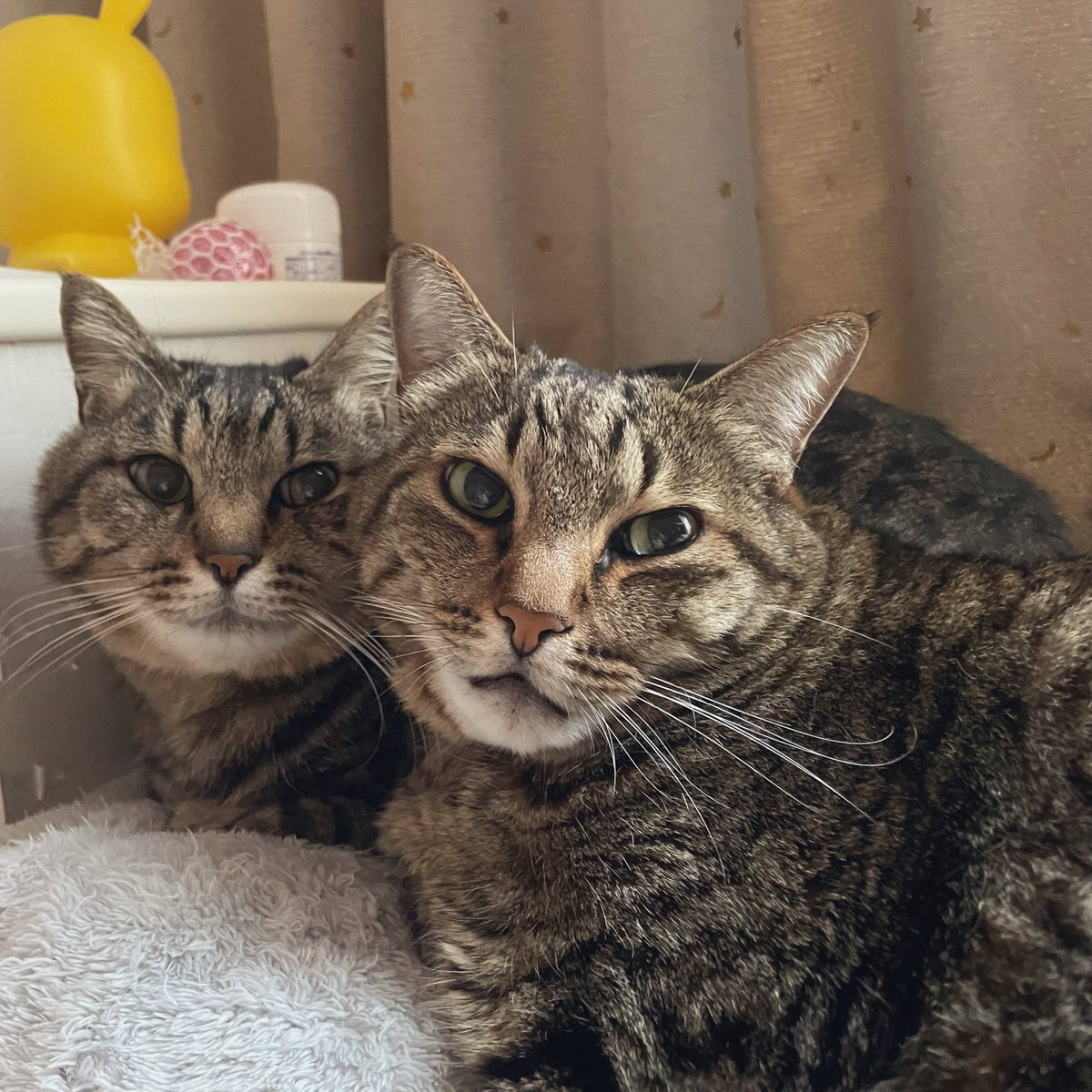 朝起きて横見たらこれだった🤍👼🏻🌞