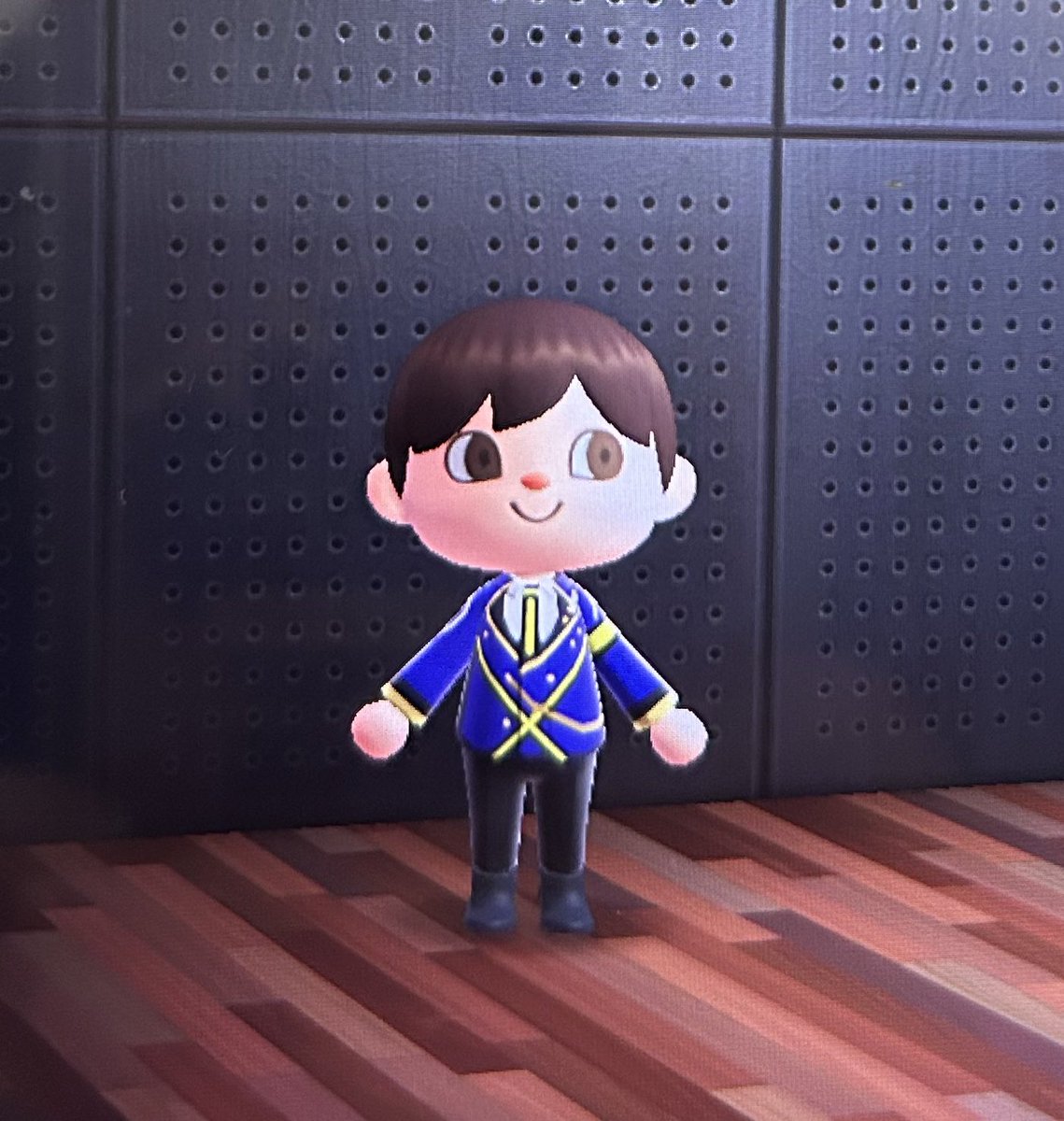 久しぶりに動物の森開いたら記憶にないびーなす着てた