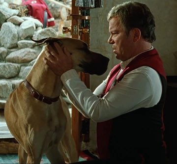 Starfleet Sohail 🌈✨🖖🏽 Chaotic Good tweet media