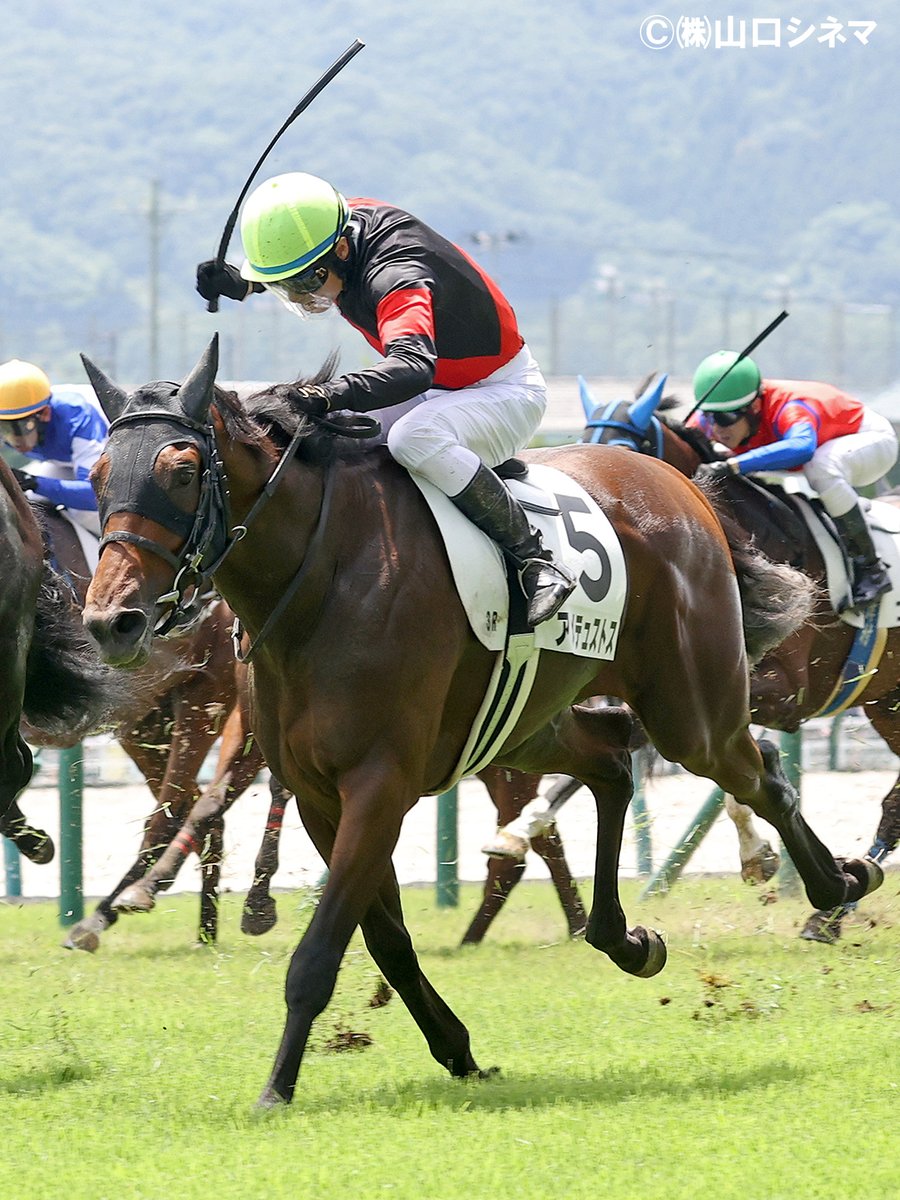 本日(日)中山・京成杯(G3・芝2000m)にはアメテュストスが出走します