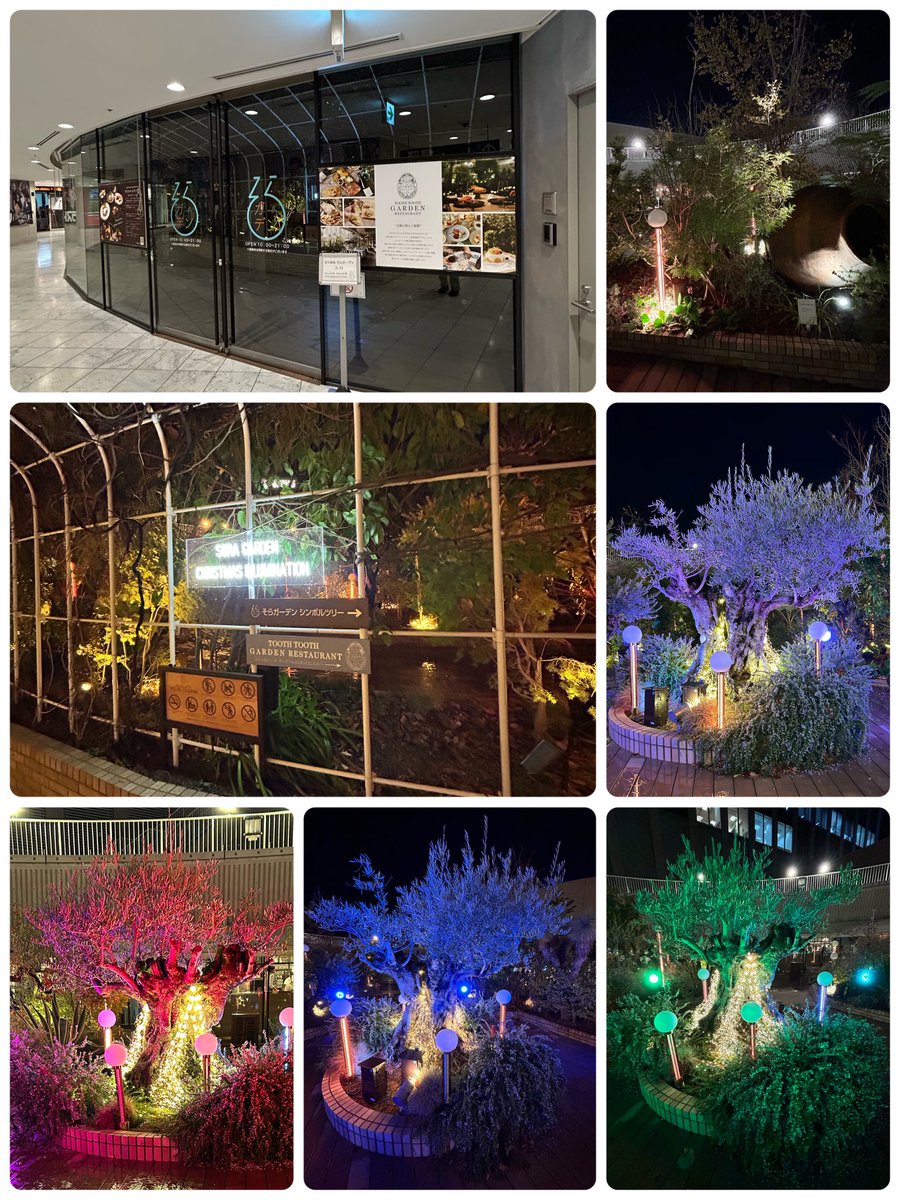 まゆ⸜🐰⸝‍ (@vdxMdDEGJ4OUZJ5) / Posts / X