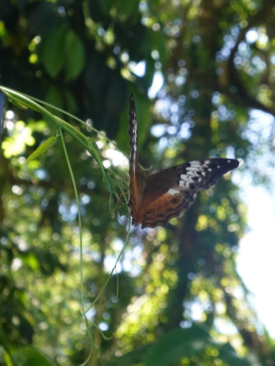 newjeans_loop's tweet image. 260116

Danielle IG update : 

Dear Bunnies,
I hope you've been well.
I'm writing as we start a new chapter-a quiet beginning that invites us to step forward together, when we're ready.

Letting go of everything we've been through won't be easy, but for now, I hope to set the…