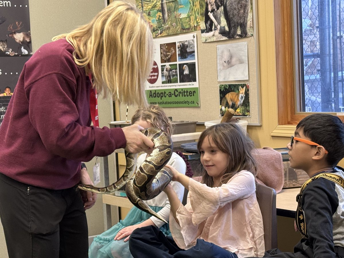 Mrs. Farquhar and Ms. Sharp’s classes had the best time at the zoo today learning some cool characteristics of animals with fur, feathers, scales and slime! #spslearn <a href="/NPWschool/">NPW School</a> <a href="/StoonPubSchools/">Saskatoon Public Schools</a>