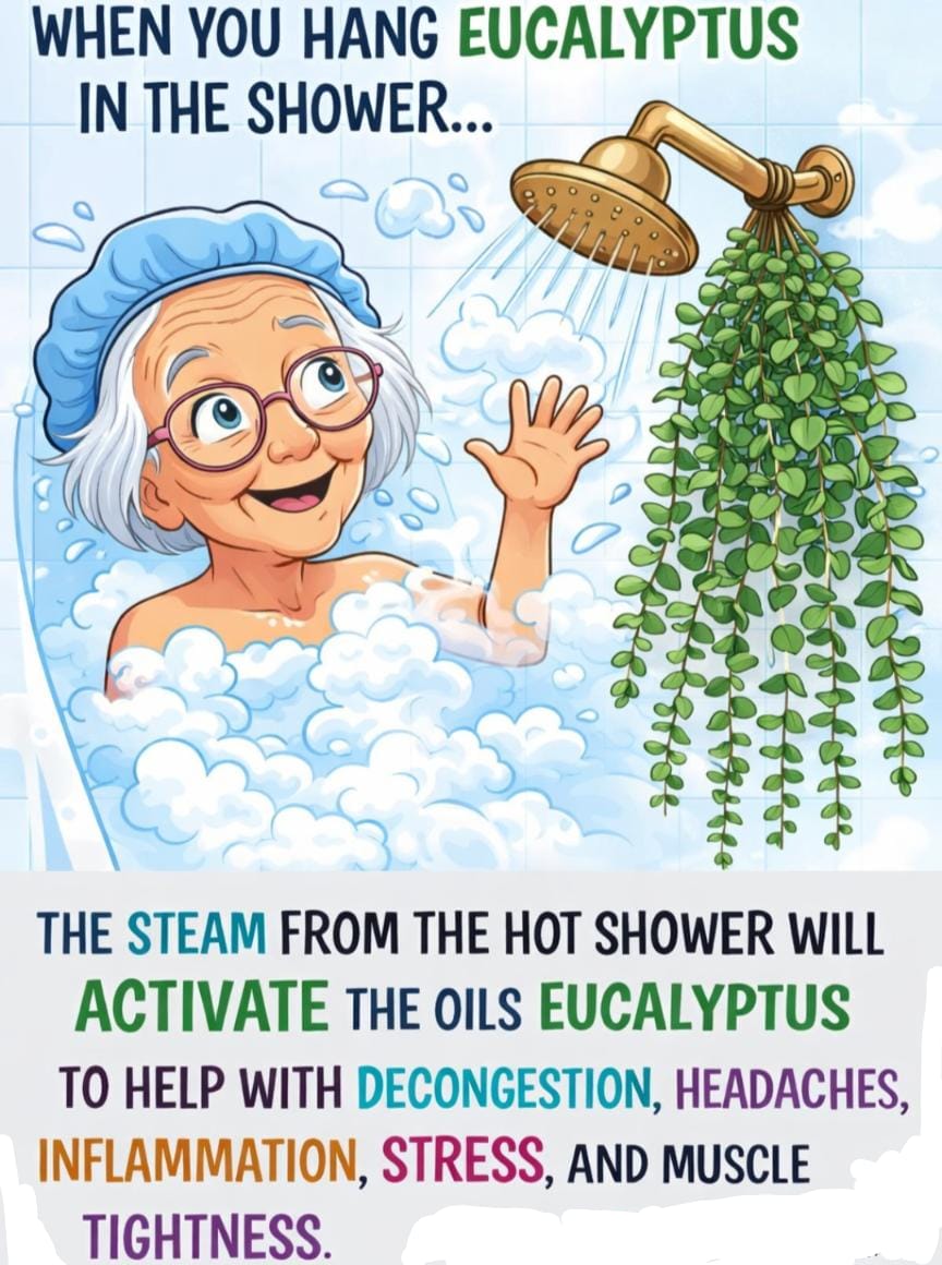 bodymindforge's tweet image. 