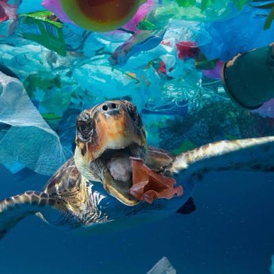 PlasticSucksOG tweet media