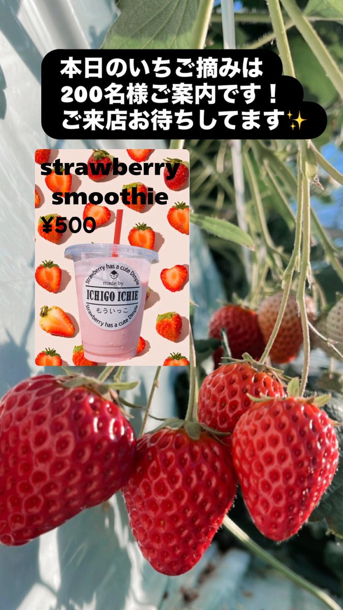 おはようございます☀ いちごの販売もしております🍓