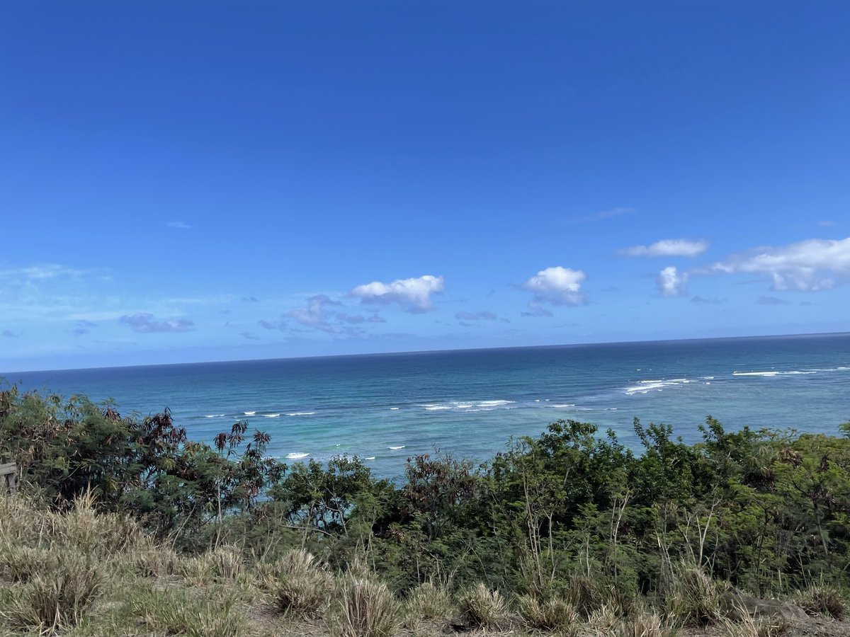 901 Club tweet media