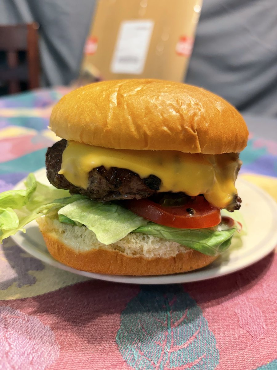 Just a simple cheeseburger.