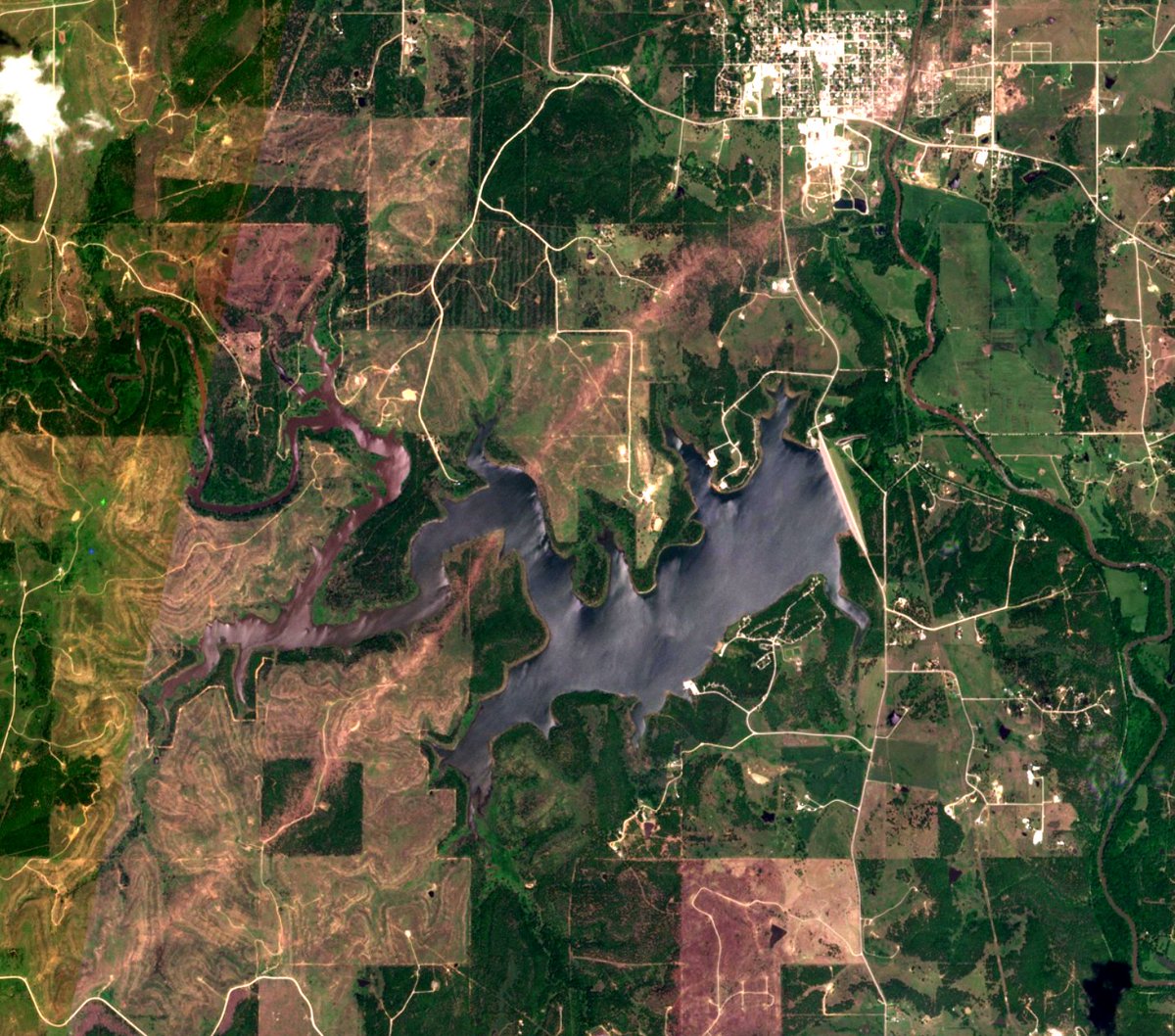 Nick Krasznavolgyi tweet media