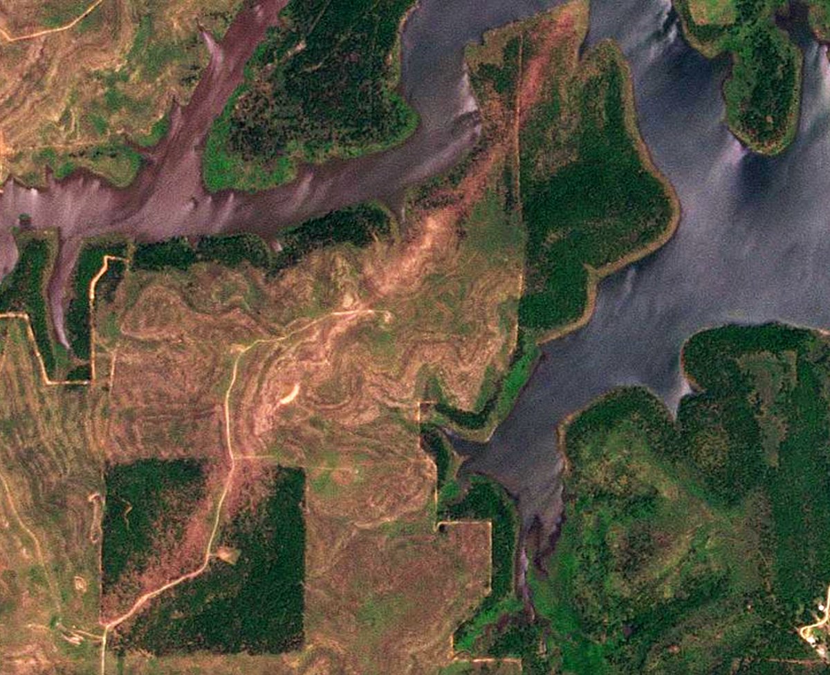 Nick Krasznavolgyi tweet media