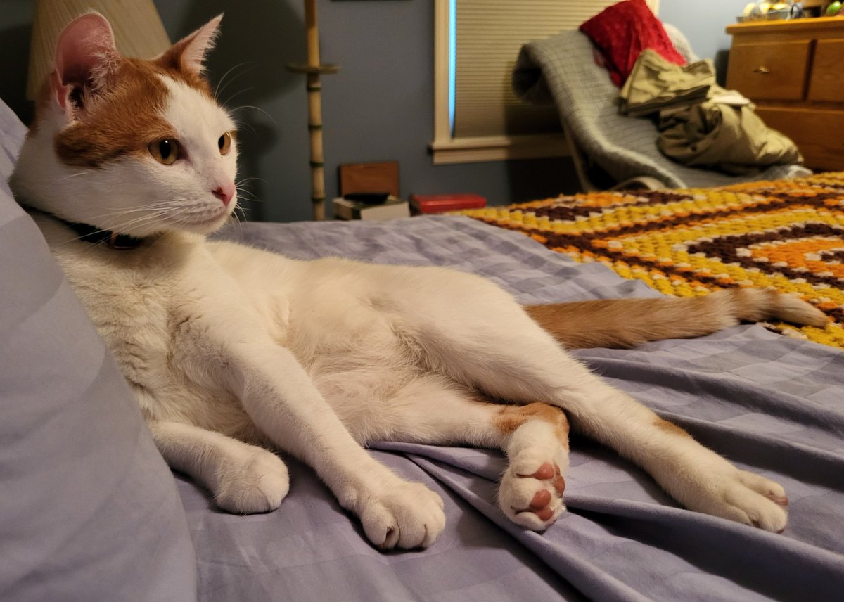 Busy Boy Floyd tweet media