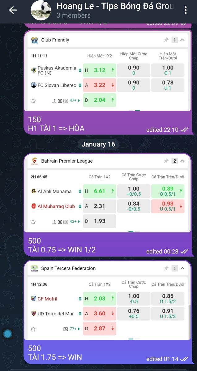 hoangle8484's tweet image. 