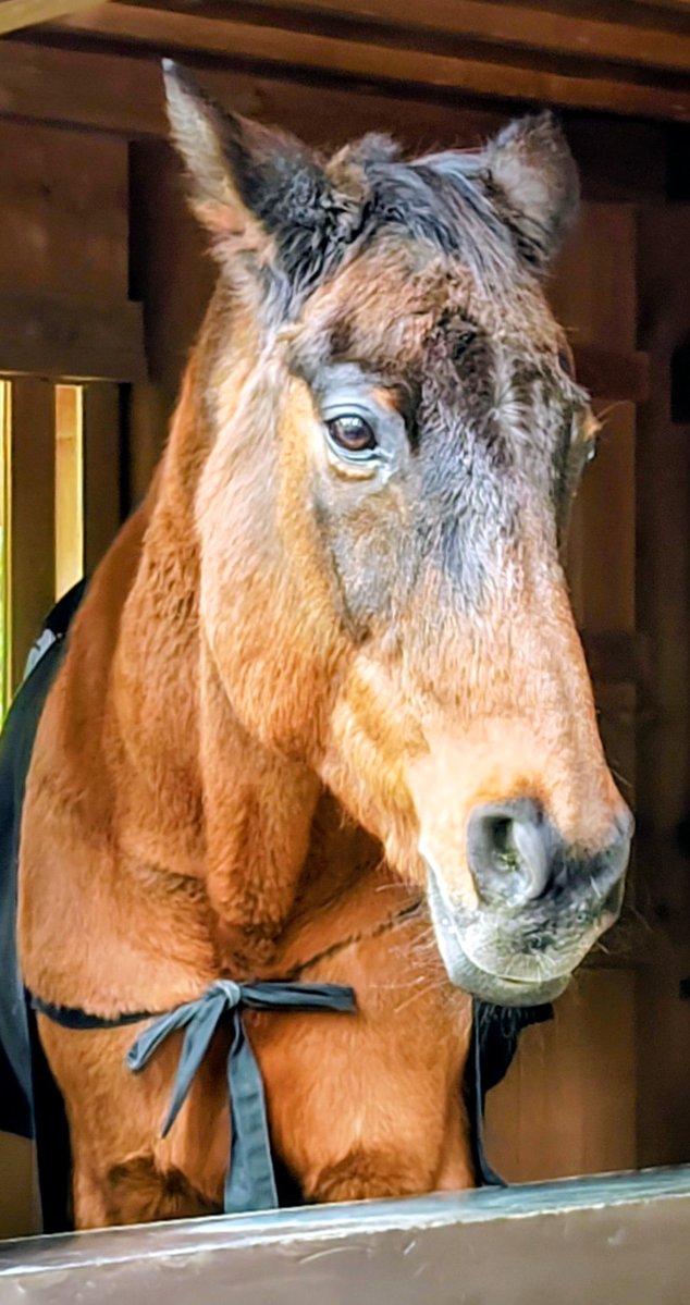 おはよう☀️

よい朝だね～♪