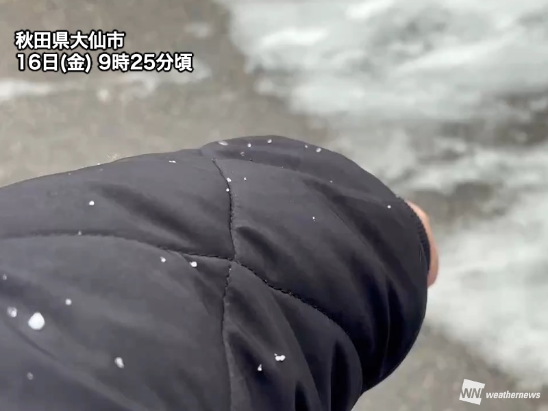 佐藤照雄 (@teruosatou) / Posts / X