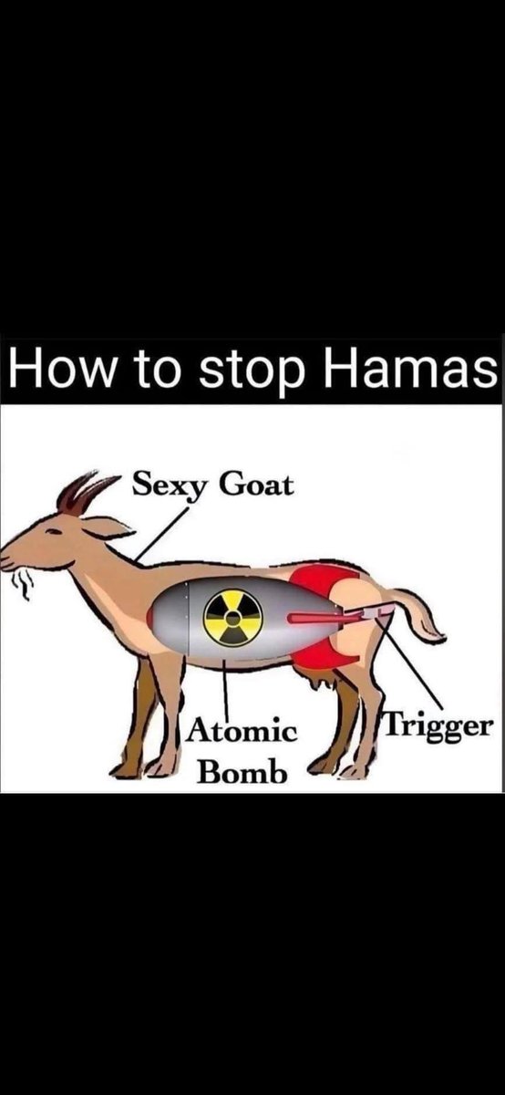 That’s how you stop the boats you set a fucking retard