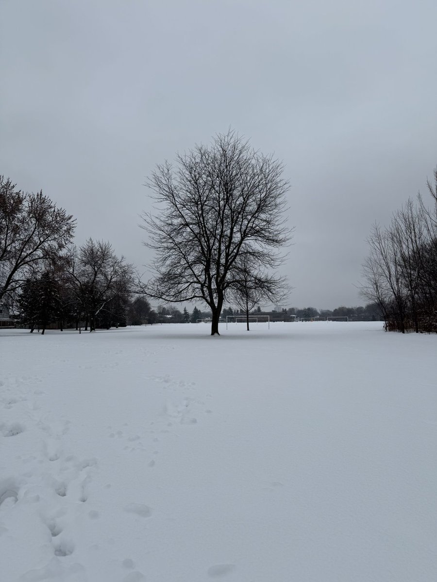 Snow doesn't rush, yet it changes everything. It reminds me that gentle things can still leave a powerful impression. Beautiful day ❄️☁️