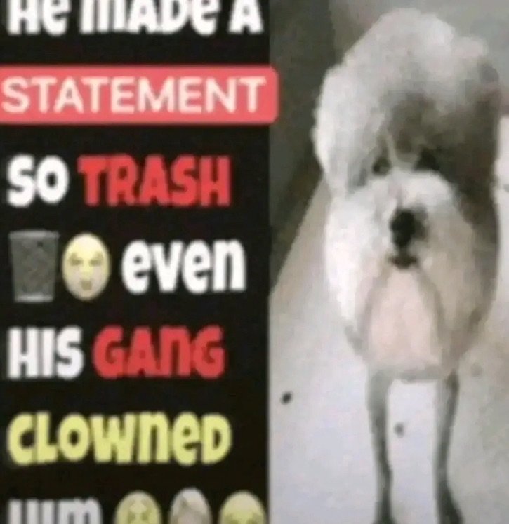 update had no stormbringer, 0/10 
(/heavyjoke)

I need to see her bro 🤬