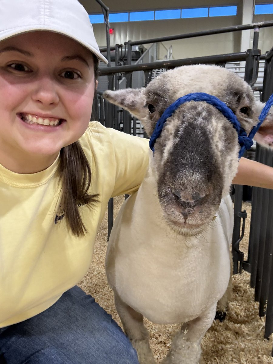 Katie Howard, M.Ed tweet media