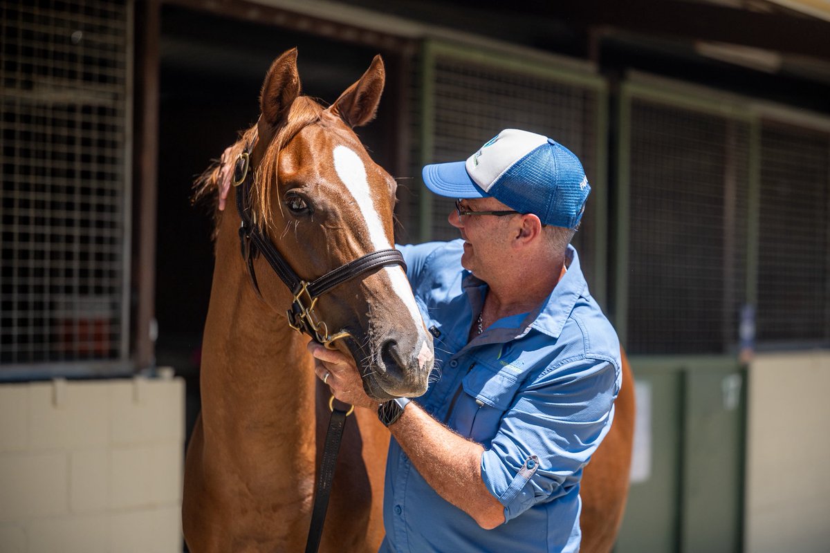 Vardy Thoroughbreds tweet media