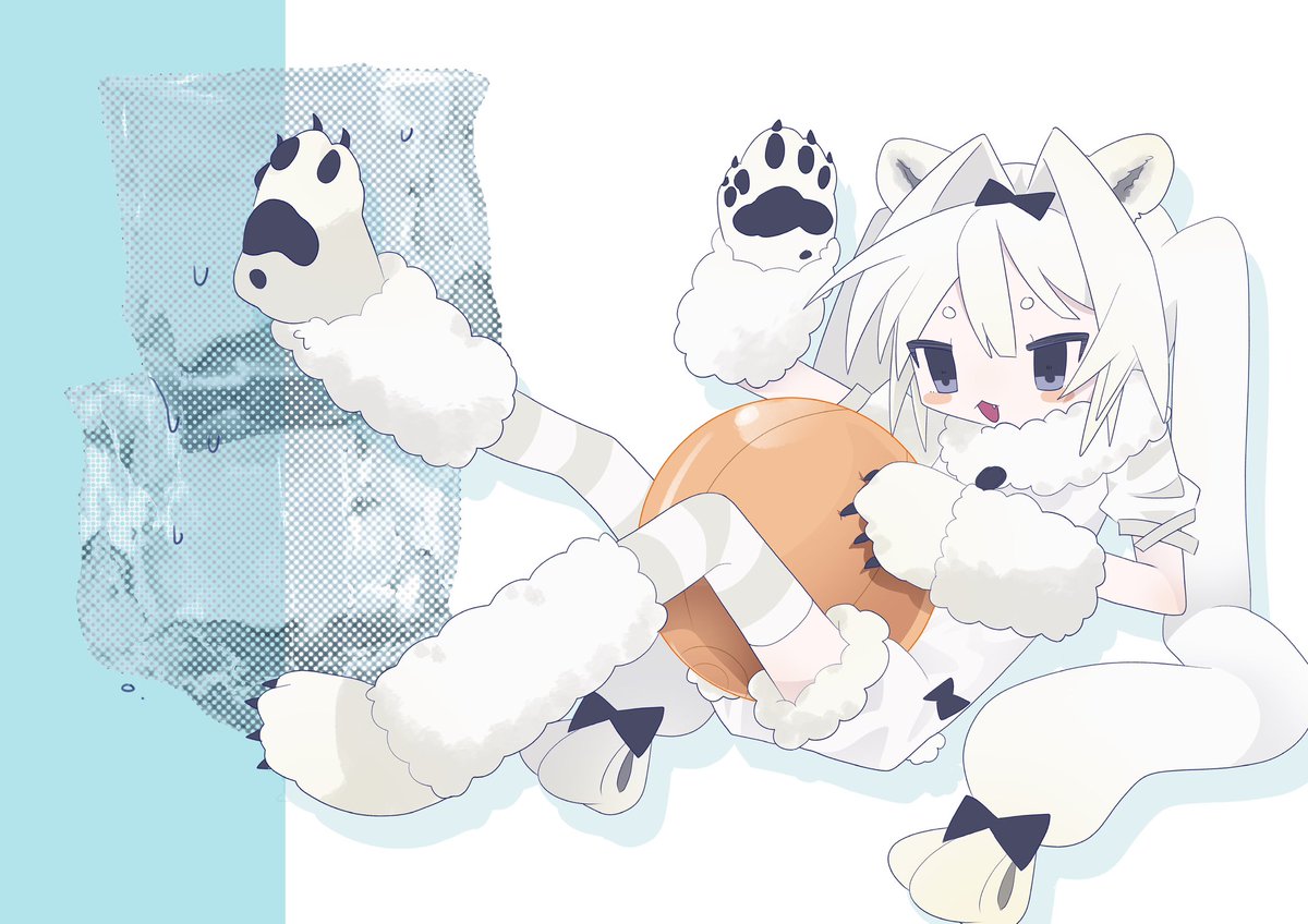 🐻‍❄