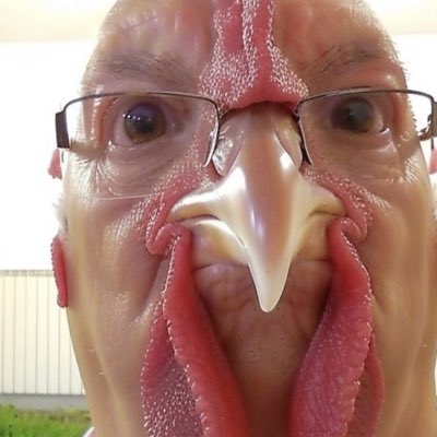 Houston McCouch tweet media