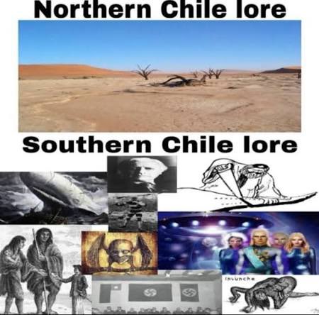 dondaviolence's tweet image. se hizo canon