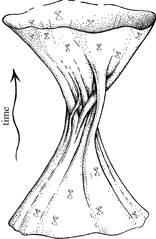 Andrew Côté tweet media