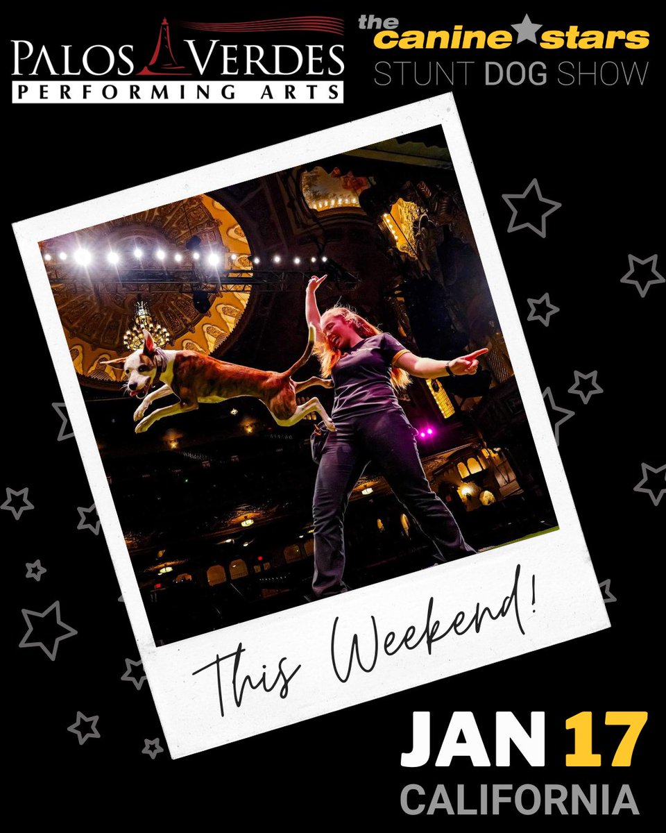 The Canine Stars tweet media