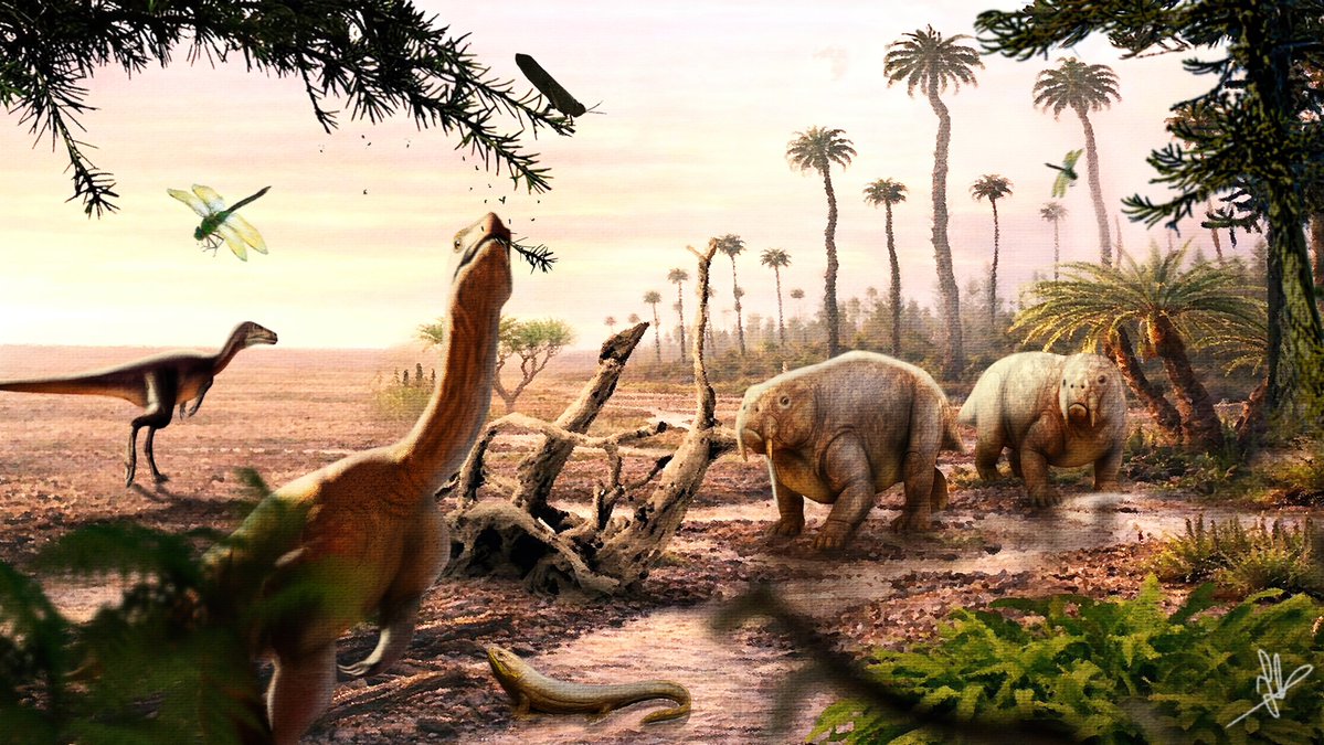 NobreJuanArt's tweet image. Santa Maria Formation.