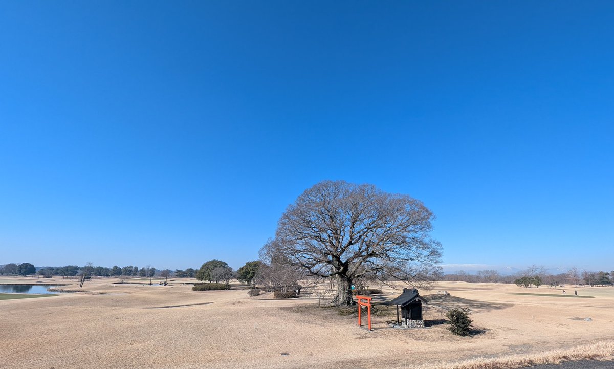 K　Taページ Post by 🌱テレンコS on X: 🌳きたで