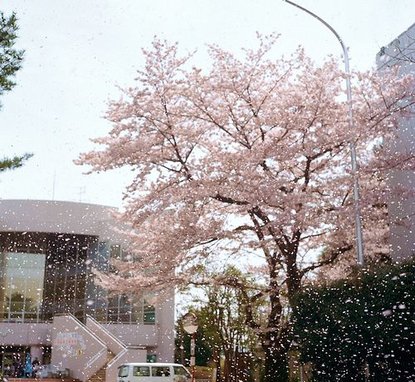 eatrazors's tweet image. 友達とのLINEが盛り上がって寝れない 🌭