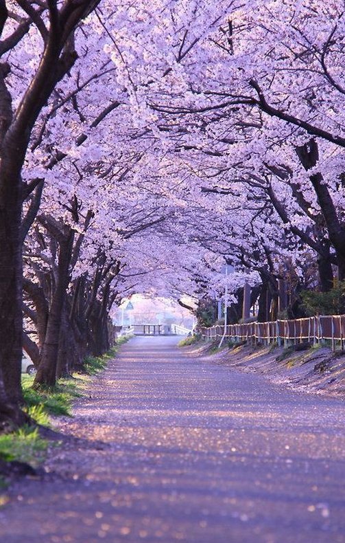 bb_surarak's tweet image. 朝起きたら携帯の充電器が断線してた
今日一日充電できないの辛すぎる 🐈‍