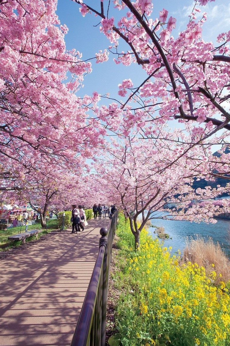 darkindeed's tweet image. 部屋の温度計が30度を示してるのにエアコンの調子が悪い 👨‍👩‍👧