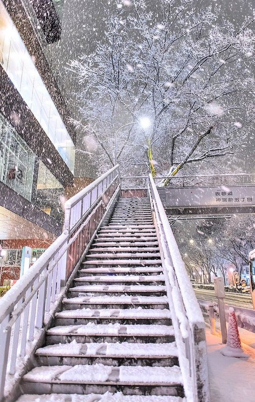 rivasdevas's tweet image. コンビニで店員さんに「ありがとうございました」と言われて、こちらこそと思った 🐡