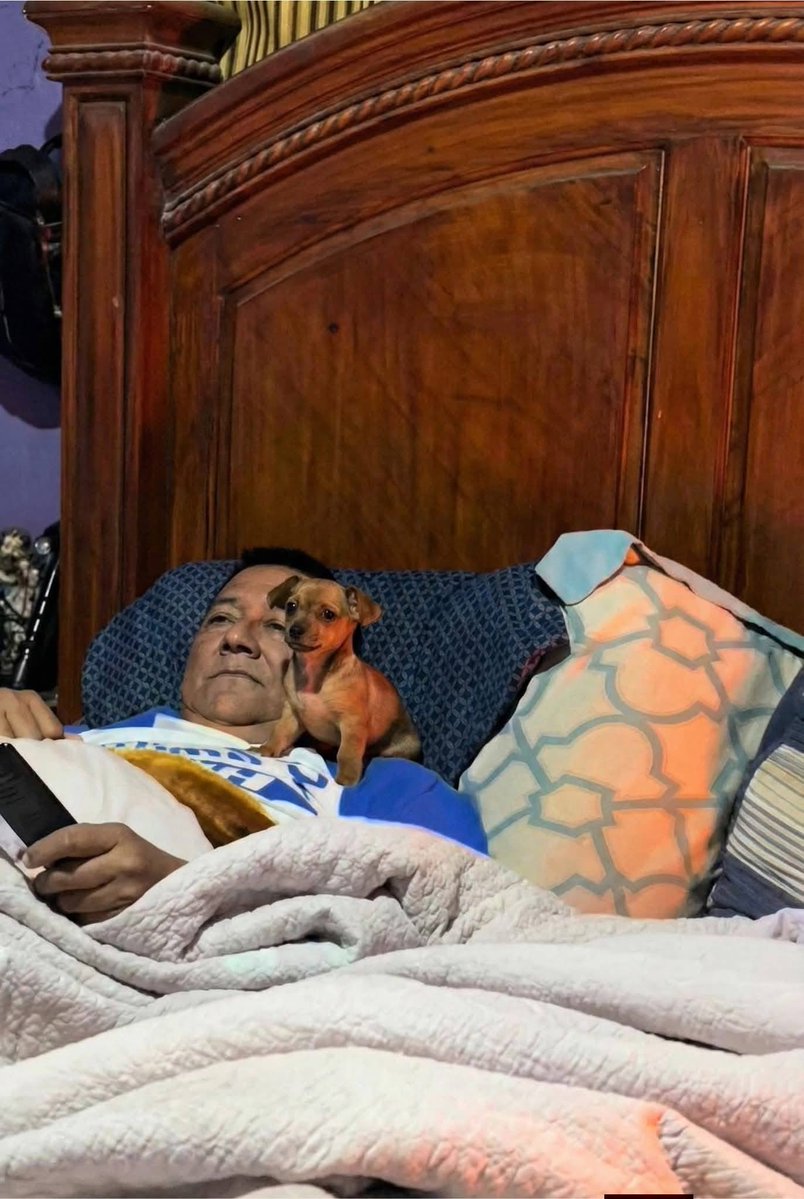 DiloConPerritos's tweet image. Mi papá después de amenazarme con echarme de casa junto con el perrito que rescaté: