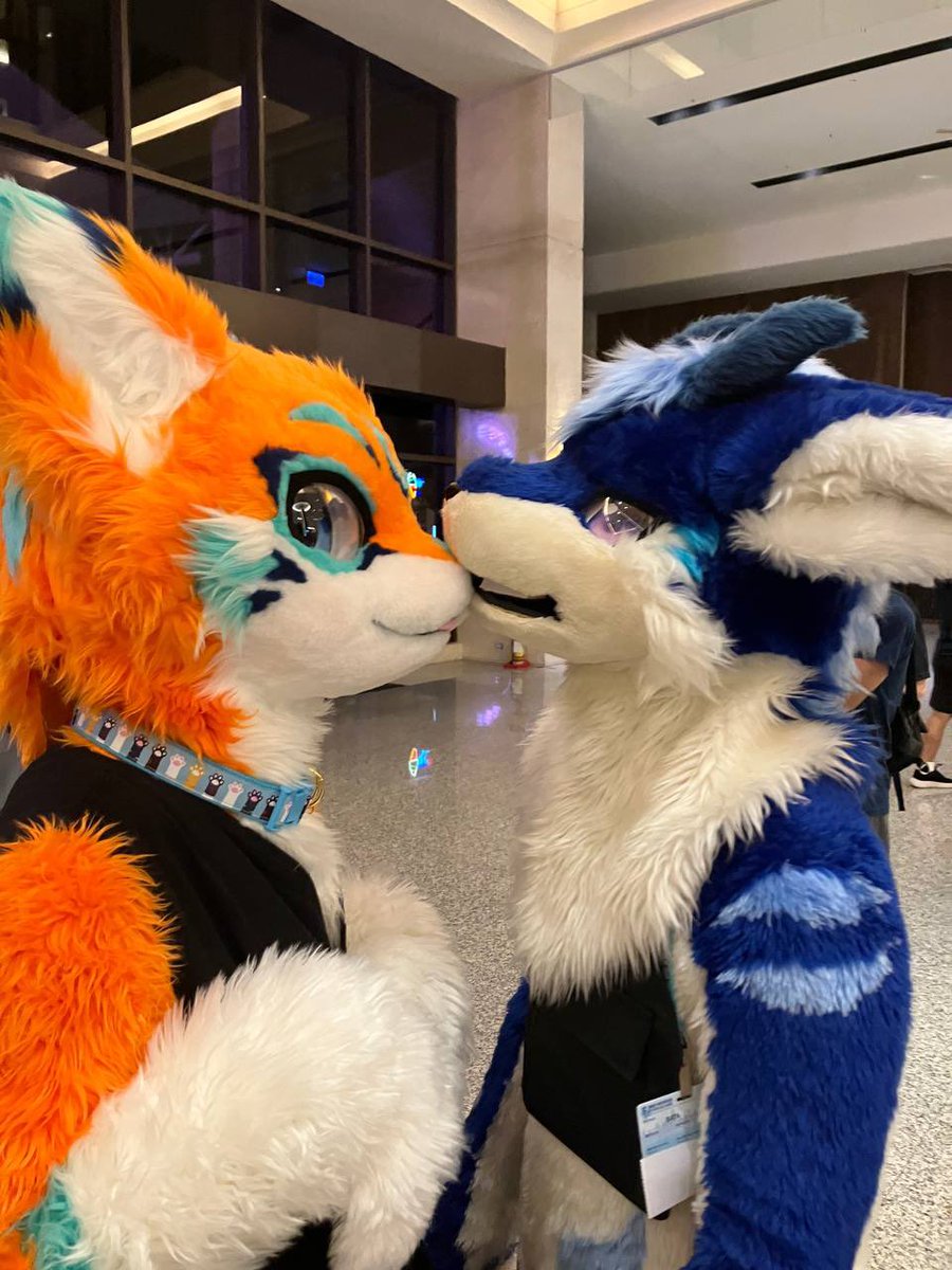 BATA 🔜 tweet media