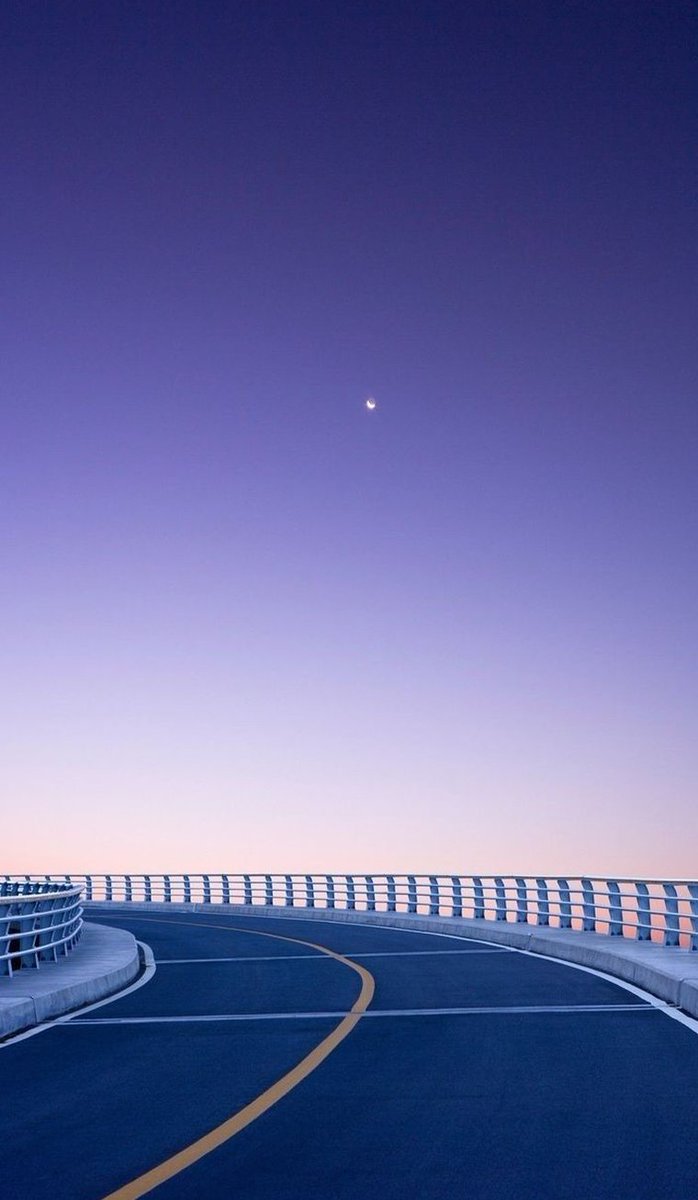 BeeOrNot's tweet image. 新しいゲームの攻略法を研究していたら夜更かししてしまった 🐜