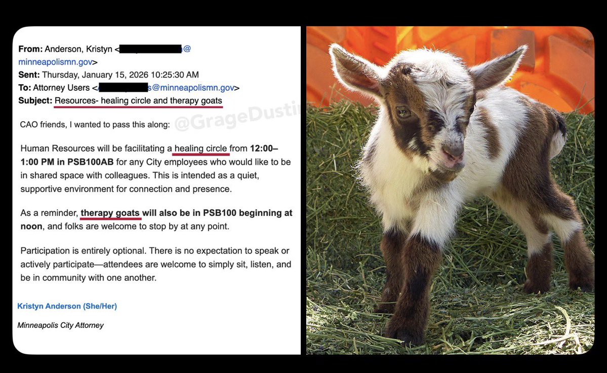 neslaughter's tweet image. Liberals in Minnesota are losing so bad the City Hall is offering Goat therapy.