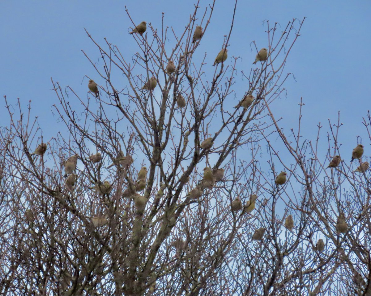 Rob Robertson tweet media