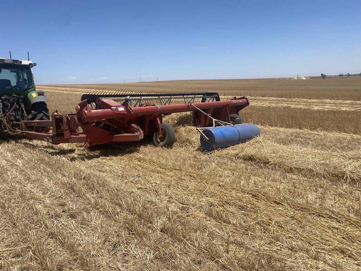 Steve Schiller tweet media