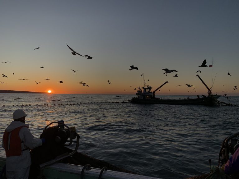 🎣有限会社道下漁業
宮城・石巻／定置網漁師（乗組員）募集
未経験OK。魚を「追う」のではなく、海を読み“待つ”漁。
月収25〜28万円＋手当、寮・食事つきで生活も安心。
自然の中でチームで働きたい、本気で海に向き合いたい方へ。
🐟 job.fishermanjapan.com/job/512/