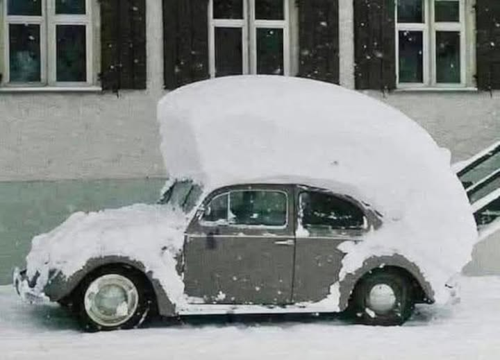 Ewka - 2 konto 🇵🇱 🇪🇺 📚📚💫 tweet media