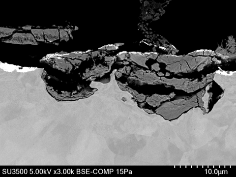 Hitachi Electron Microscope tweet media