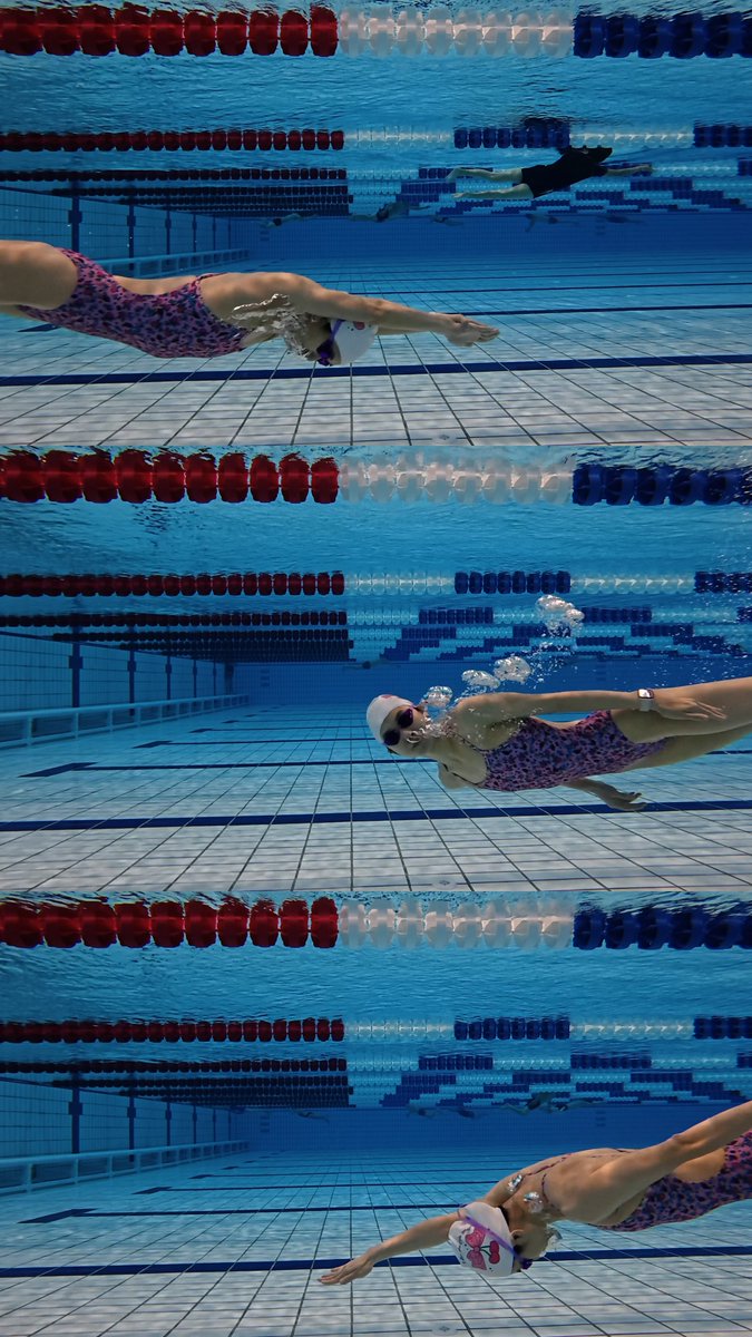 pooltimejp's tweet image. こんにちは、
POOLTIMEです。

ピンク色の花畑の中を自由に飛ぶ青い鳥からインスピレーションを受け、
おとぎ話のようなロマンティックな雰囲気をまとった水着をご紹介します。

水の中でも、太陽の下でも輝く特別なスタイル✨